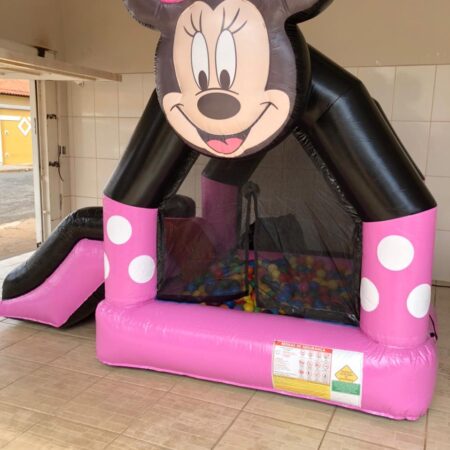 Piscina de Bolinha Minnie
