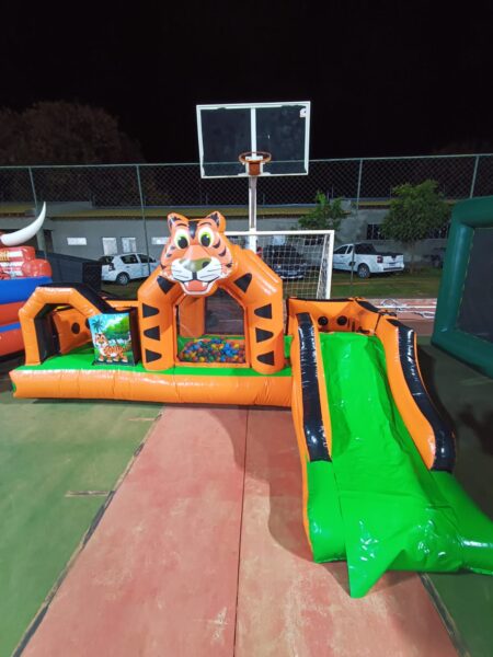 Kid Play Tigrinho - Image 2
