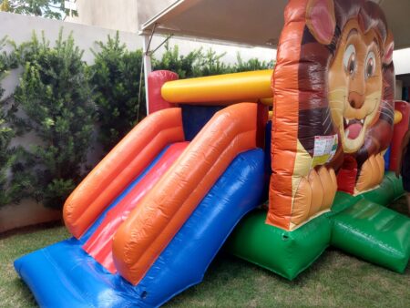 Kid Play Leãozinho - Image 2